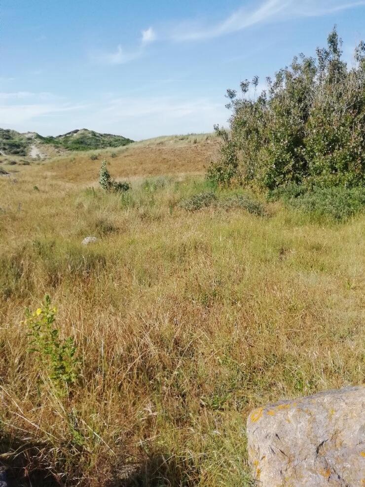 T3 Rez-De-Chaussee Lumineux Avec Terrasse Proche Plage Cucq Εξωτερικό φωτογραφία
